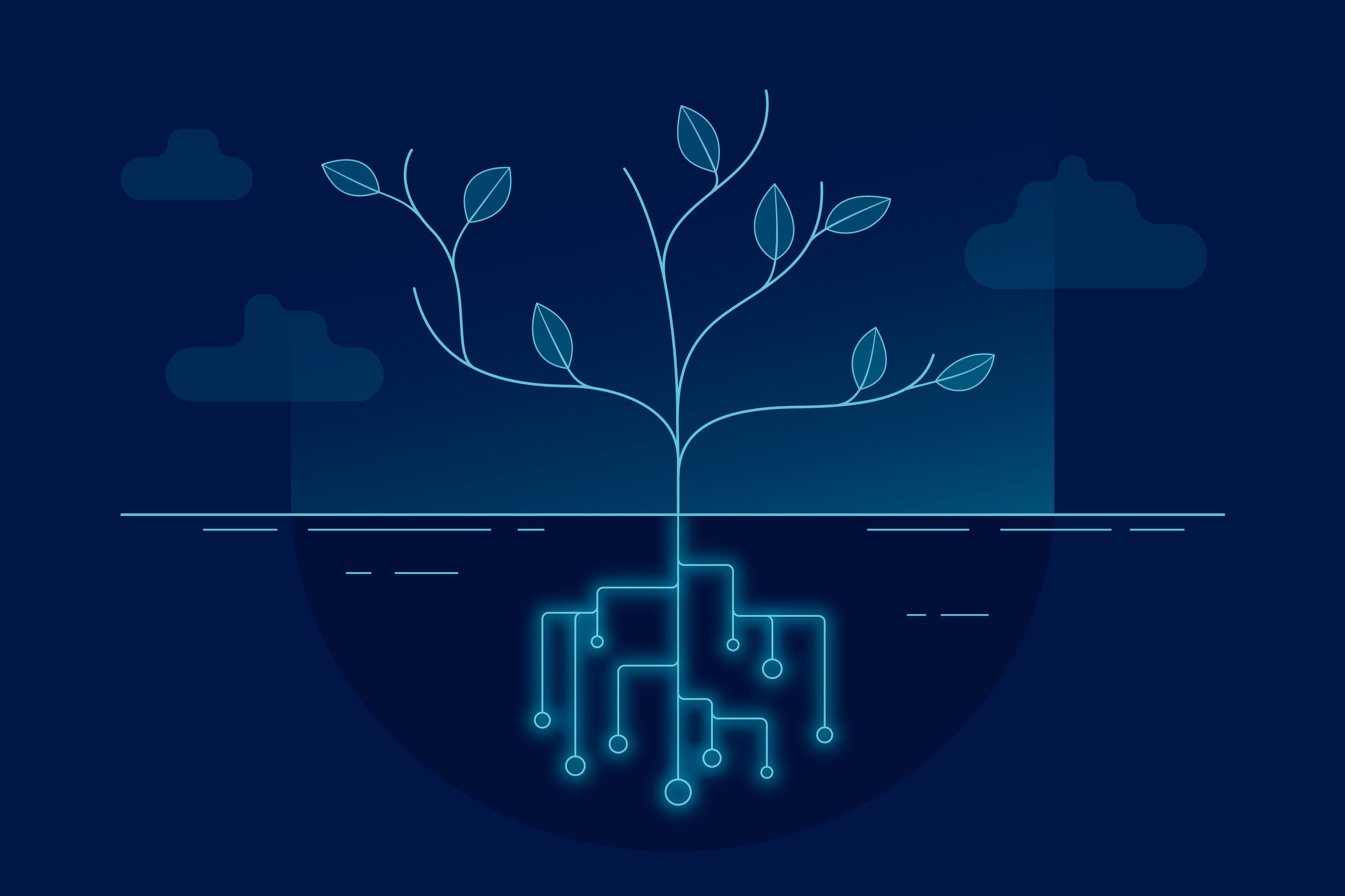 undefined main image || ''